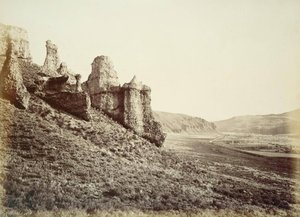 Untitled (aqtdlp) — Carleton Watkins