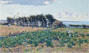 The Cabbage Patch — Emanuel Phillips Fox