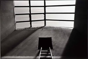 Untitled (Ladder Window)
