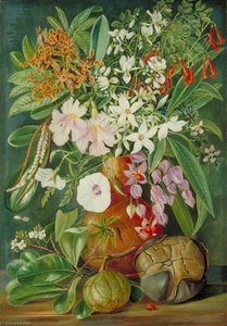 A Selection Of Flowers, Wild And Cultivated, With Puzzle Nut, Mahé — Marianne North
