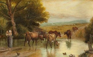 Highland Cattle — Arthur Knowles