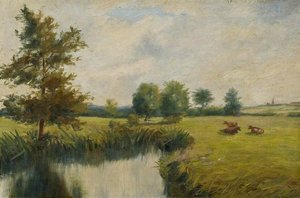 Warkton Meadows, Northamptonshire