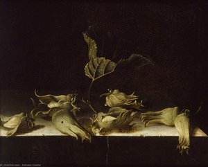 Still Life with Hazel-nuts