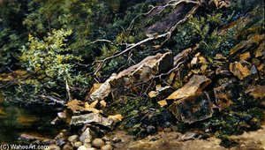 A Rocky Bank