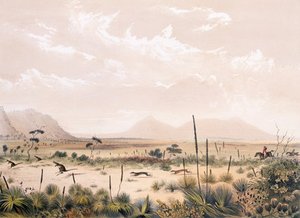 Kangaroo Hunt — George French Angas