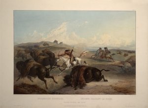 Indians Hunting The Bison — Karl Bodmer