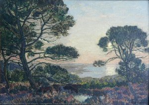 Varengeville. Soleil couchant sur la lande de l'Ailly (l'Ailly.)