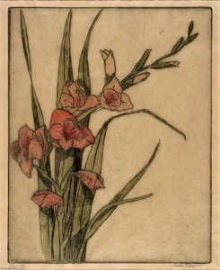 Gladiola — Bertha Evelyn Jaques
