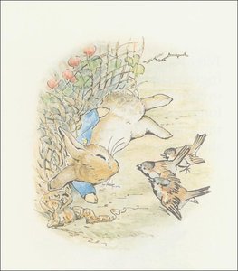 Peter Rabbit 16a - (11x12) — Beatrix Potter