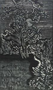 Trees Touched by Moonlight