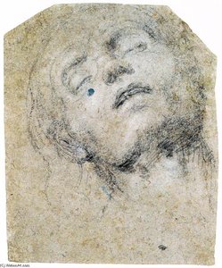 Head Of A Man — Giovanni Gerolamo Savoldo