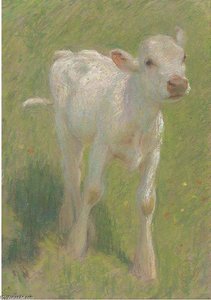 Study Of A Calf In A Summer Meadow — Edward William Stott