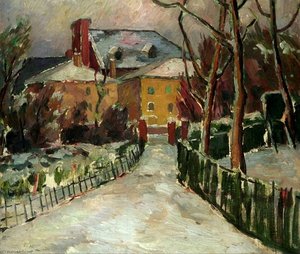Landscape under Snow
