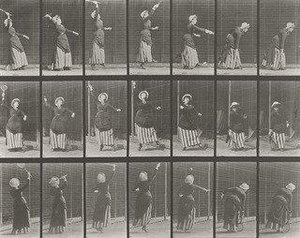 Lawn Tennis Plate 298 From Animal Locomotion (1887) — Eadweard J Muybridge