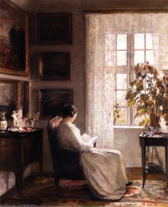 Reading In The Morning Light