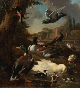 A Peacock, Pigeon, Ducks and other Birds in a Garden Setting
