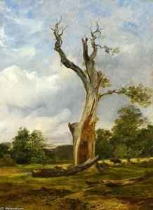 The Blasted Tree — Horatio Mcculloch