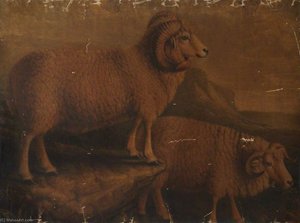 Dorset Ram And Ewe — William Shiels