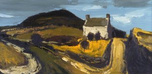 Cottage Above Deiniolen — Donald Mcintyre