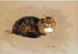Study Of A Cat — Archibald Thorburn