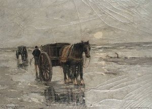 Gathering Clams