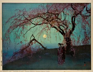 Kumoi-Zakura (Kumoi Cherry Trees)