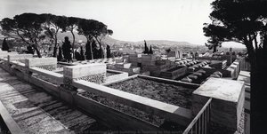 Terraces of building 3 and building 4, looking to the south – east