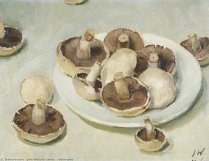 Mushrooms — John Whitlock Codner