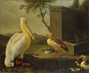 Oriental birds