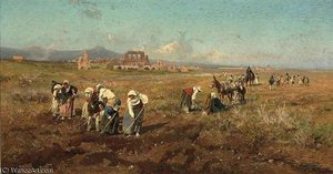 Working The Land On The Roman Campagna