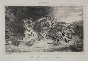 Young Tiger Playing With Its Mother — Eugène Delacroix