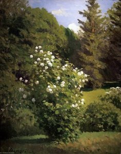 Guelder Rose — Pal Merse Szinyei