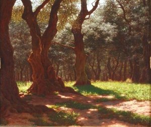 Foret D'oliviers A Cap St. Martin — Ivan Fedorovich Choultse