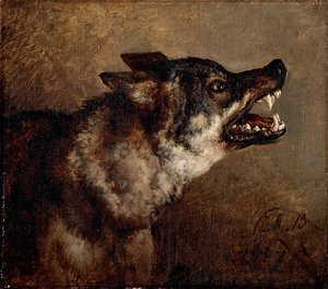 Tête De Loup — Jacques Raymond Brascassat