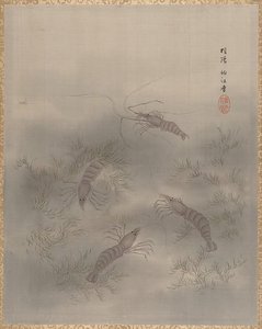 Cray Fish