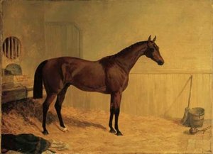 Cotherstone, A Bay Racehorse In A Stable — John Frederick Herring Senior, Contemporary Realism