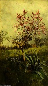 Almond blossom