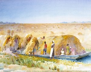 A Rice Flat In One Of The Canals From The Series A Carolina Rice Plantation Of The Fifties — アリス・ラヴェネル・ヒューガー・スミス, American Impressionism