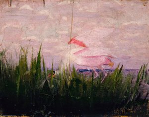 Roseate Spoonbill, Study For Book Concealing Coloration In The Animal Kingdom — Abbott Handerson Thayer