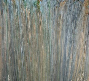 Wilma — Larry Poons