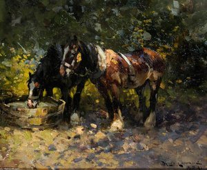 The Water Tub