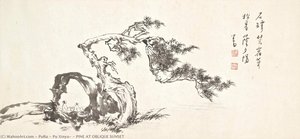 Pine At Oblique Sunset — Puru ( Pu Xinyu)