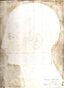 Profil Eines Männerkopfes — Albrecht Dürer