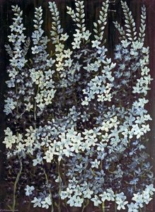 Study of Delphiniums