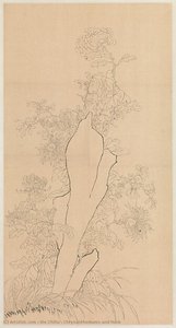 Chrysanthemums And Rock — Xie Zhiliu