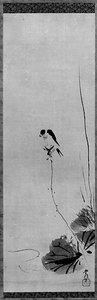 Swallow