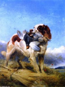 An English Setter Retrieving Partridge — Richard Ansdell