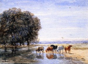 Horses Drinking — David Cox The Elder