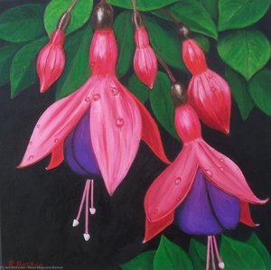 Raindrops On Fuchsia — Rose Maynard Barton