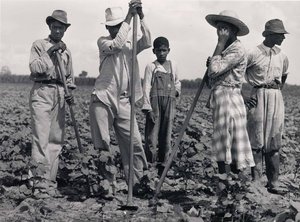 Negro Men And Women Working In A Field, Bayou Bourbeaux Plantation. Natchitoches, Louisiana — Marion Post Wolcott
